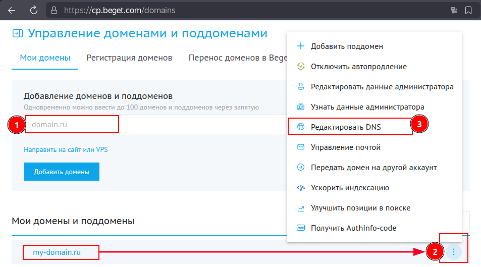 Domain context menu and "Edit DNS" selection