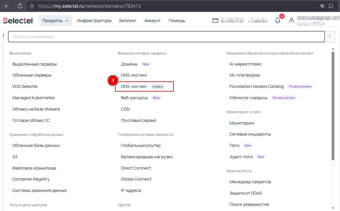 Selectel "Products" menu and "DNS Hosting Legacy" selection