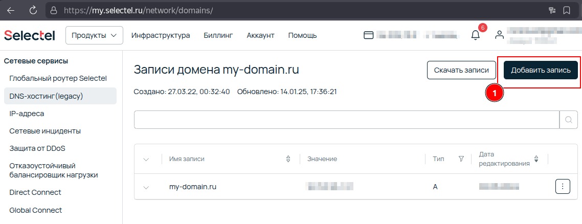 Selectel panel "Add record" button