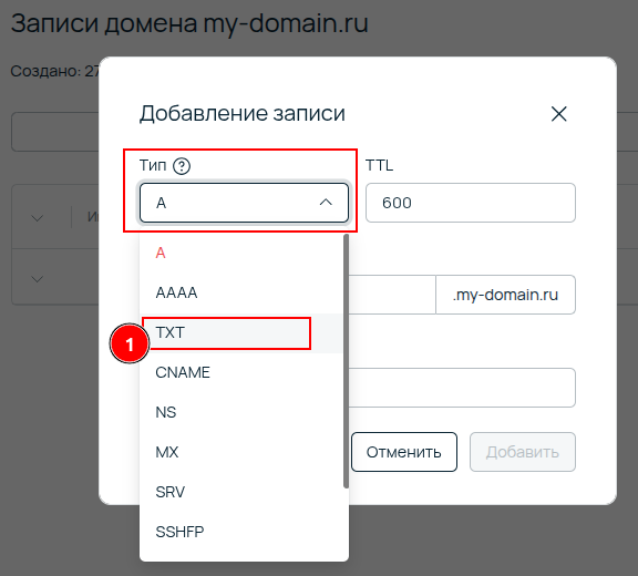 Selecting TXT record type in Selectel